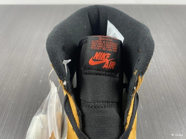 Reps TBK 1 Jordan High Element Light DB2889-700 Curry Gore-Tex 0806